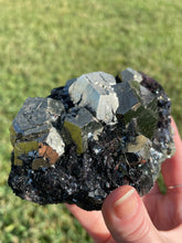 Load image into Gallery viewer, Elba Island Pyrite on Hematite
