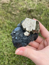 Load image into Gallery viewer, Elba Island Pyrite with Hematite
