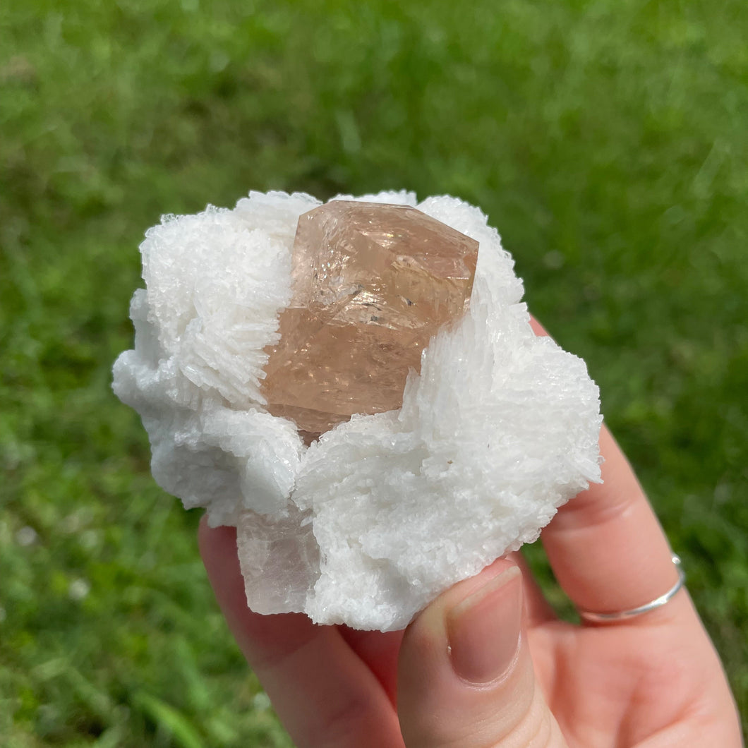 Topaz on Albite