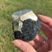 Load image into Gallery viewer, Elba Island Pyrite on Hematite
