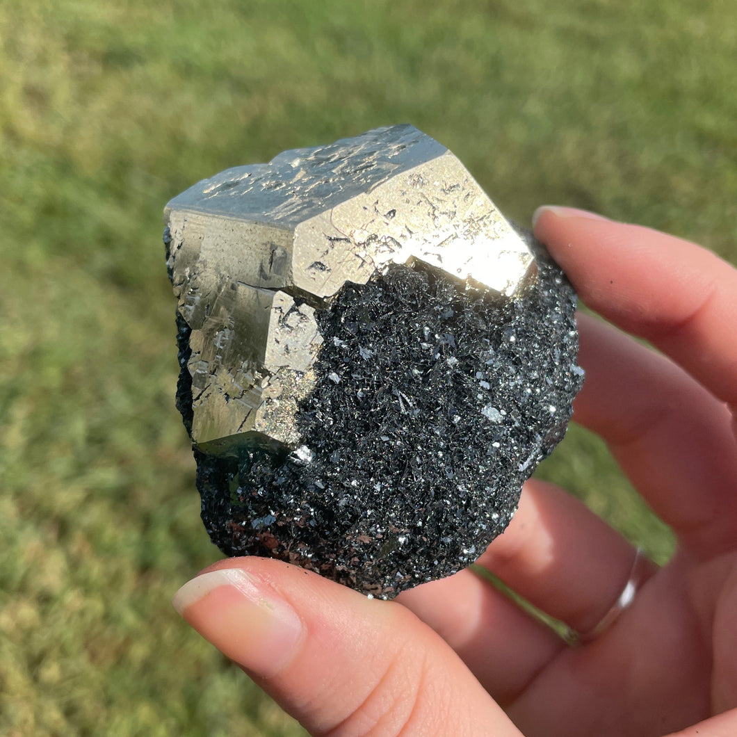 Elba Island Pyrite on Hematite
