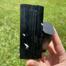 Load image into Gallery viewer, Tourmaline (var. Schorl)
