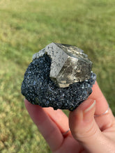 Load image into Gallery viewer, Elba Island Pyrite on Hematite
