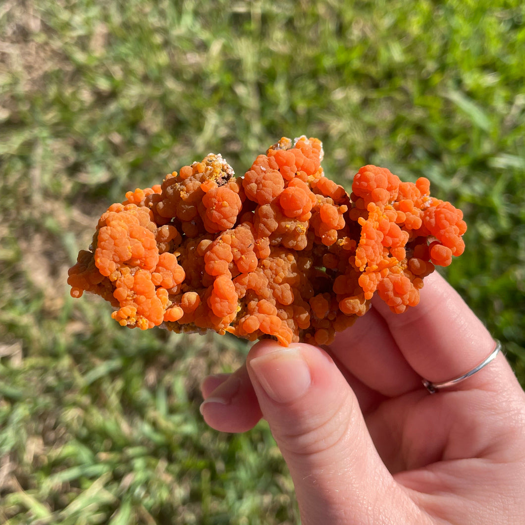 Mimetite from Iran