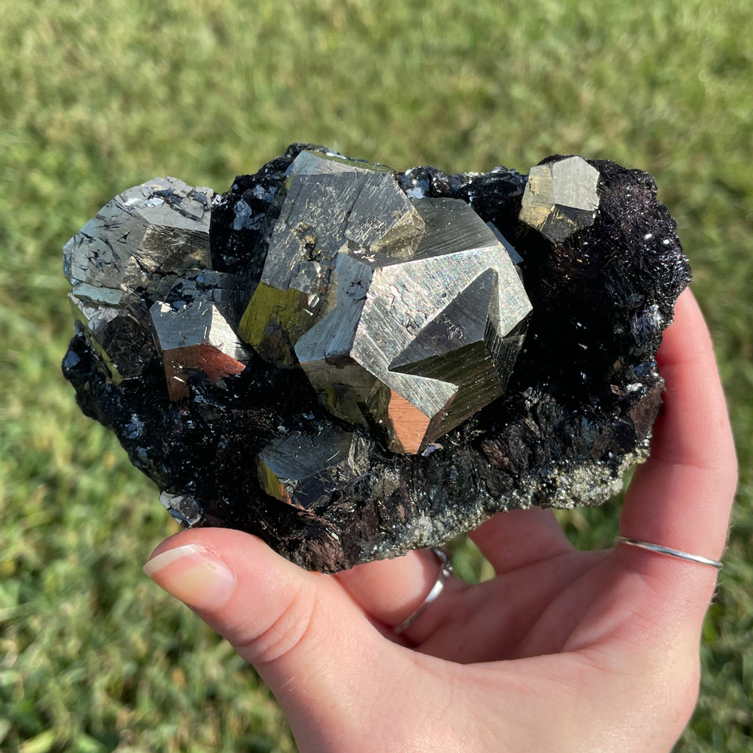 Elba Island Pyrite on Hematite