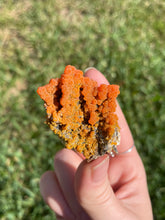 Load image into Gallery viewer, Botryoidal Mimetite from Iran
