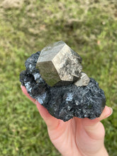 Load image into Gallery viewer, Elba Island Pyrite with Hematite
