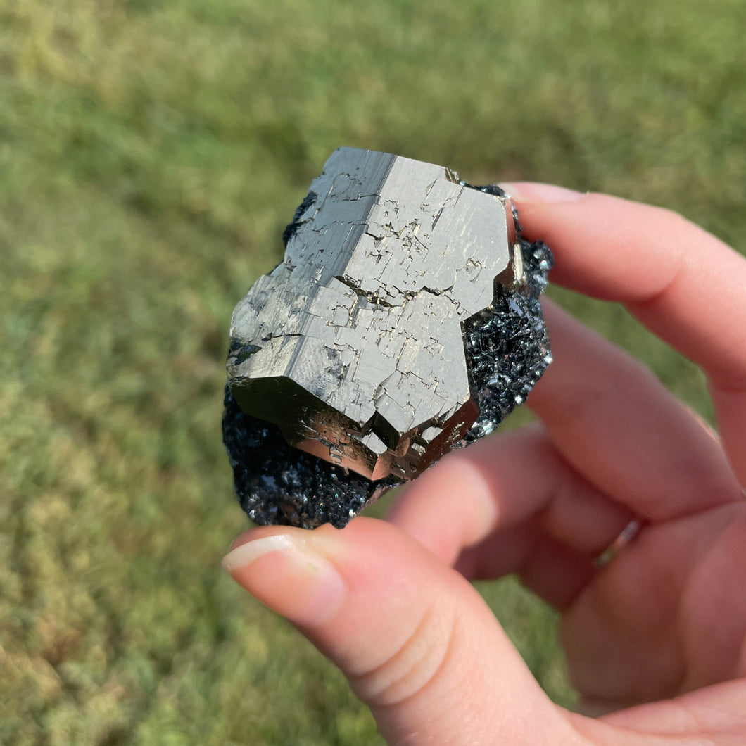Elba Island Pyrite on Hematite