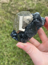 Load image into Gallery viewer, Elba Island Pyrite with Hematite
