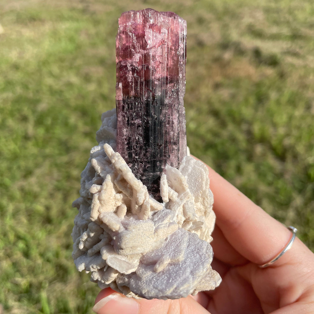 Tourmaline and Albite