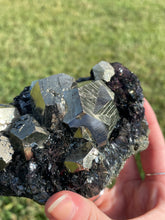 Load image into Gallery viewer, Elba Island Pyrite on Hematite
