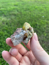 Load image into Gallery viewer, Garnet (var. Topazolite) on Matrix
