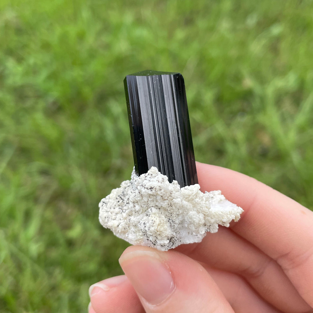 Schorl and Albite