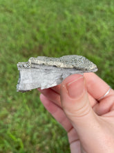 Load image into Gallery viewer, Marcasite on Barite
