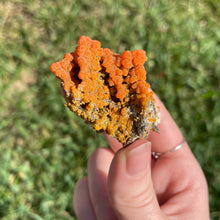 Load image into Gallery viewer, Botryoidal Mimetite from Iran
