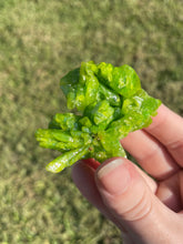Load image into Gallery viewer, Pyromorphite
