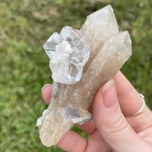Load image into Gallery viewer, Clear Fluorite on Quartz
