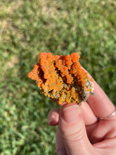 Load image into Gallery viewer, Botryoidal Mimetite from Iran
