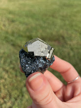 Load image into Gallery viewer, Elba Island Pyrite on Hematite
