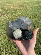 Load image into Gallery viewer, Enormous Elba Island Pyrite on Hematite
