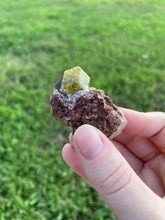 Load image into Gallery viewer, Garnet (var. Topazolite) on Matrix
