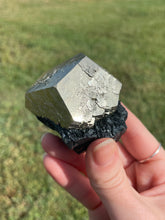 Load image into Gallery viewer, Elba Island Pyrite on Hematite
