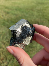 Load image into Gallery viewer, Elba Island Pyrite on Hematite
