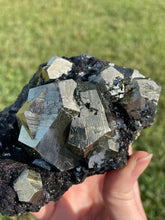 Load image into Gallery viewer, Elba Island Pyrite on Hematite
