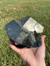 Load image into Gallery viewer, Enormous Elba Island Pyrite on Hematite
