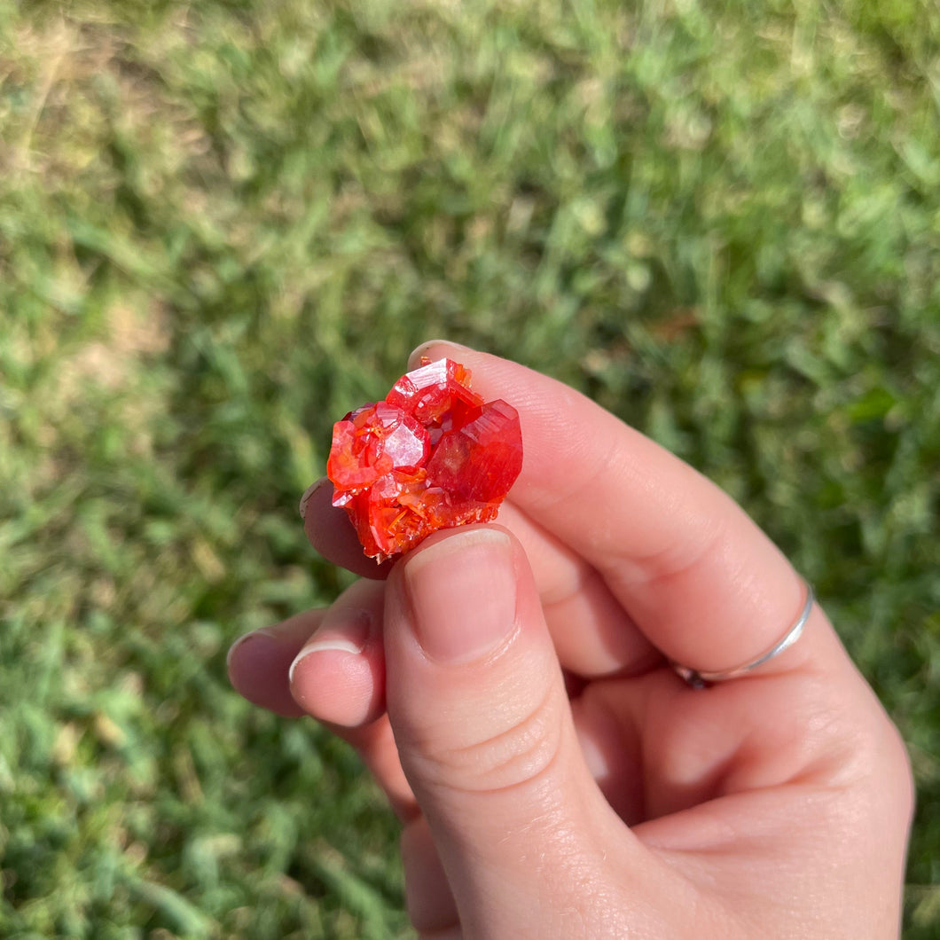 Wulfenite Miniature from Iran