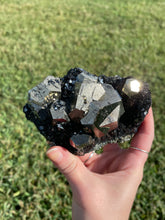 Load image into Gallery viewer, Elba Island Pyrite on Hematite
