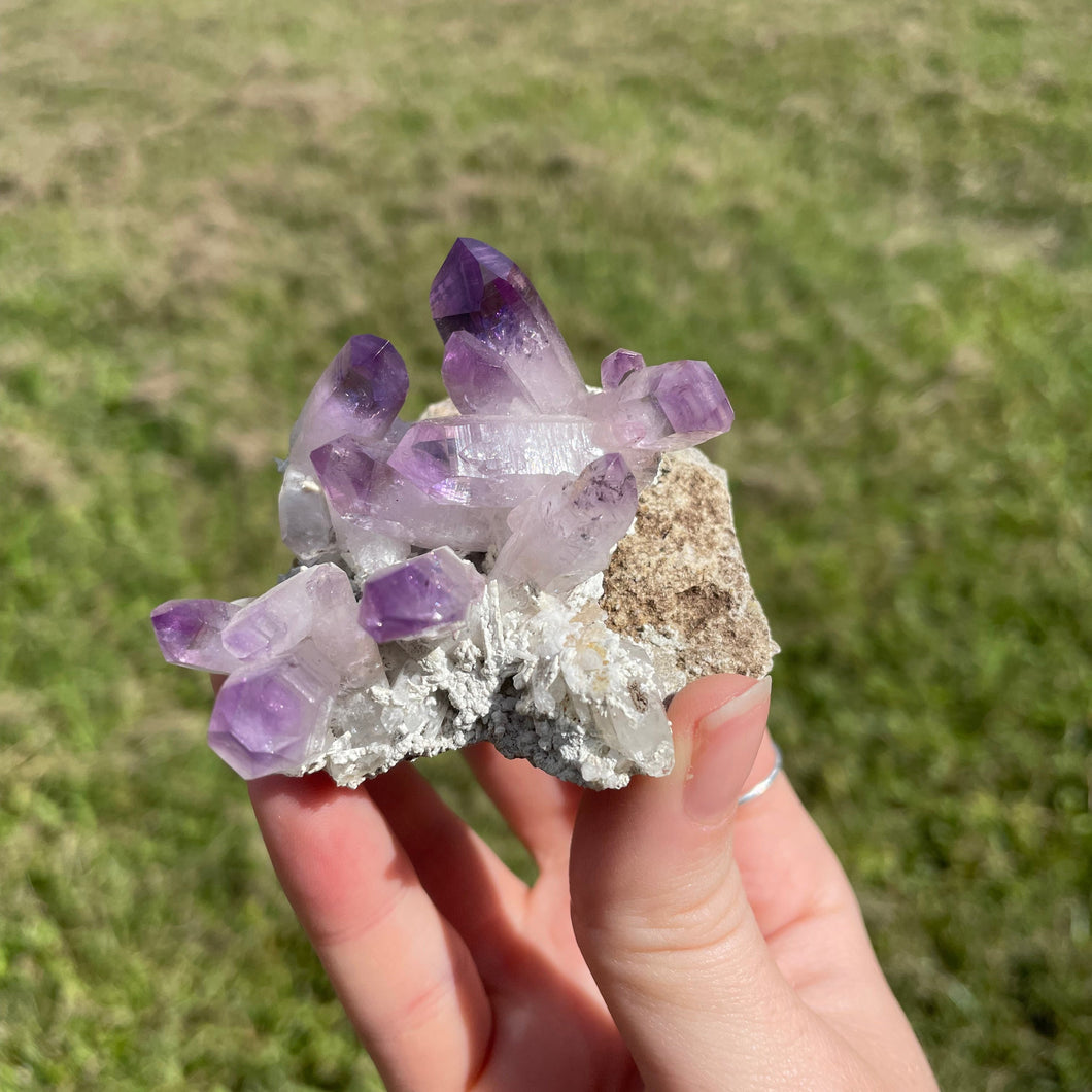 Las Vigas Amethyst