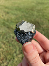 Load image into Gallery viewer, Elba Island Pyrite on Hematite
