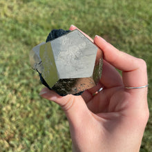 Load image into Gallery viewer, Elba Island Pyrite on Hematite
