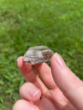 Load image into Gallery viewer, Selenite
