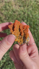 Load and play video in Gallery viewer, Botryoidal Mimetite from Iran
