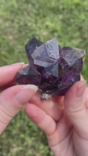 Load and play video in Gallery viewer, Goboboseb Amethyst Cluster from Namibia

