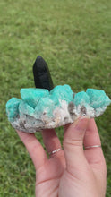 Load and play video in Gallery viewer, Amazonite with Smoky Quartz

