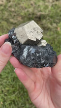 Load and play video in Gallery viewer, Elba Island Pyrite with Hematite
