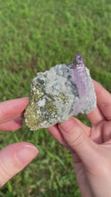 Load and play video in Gallery viewer, Las Vigas Amethyst with Epidote and Quartz
