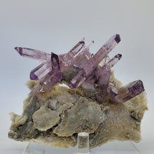 Load image into Gallery viewer, Las Vigas Amethyst Crystal Cluster
