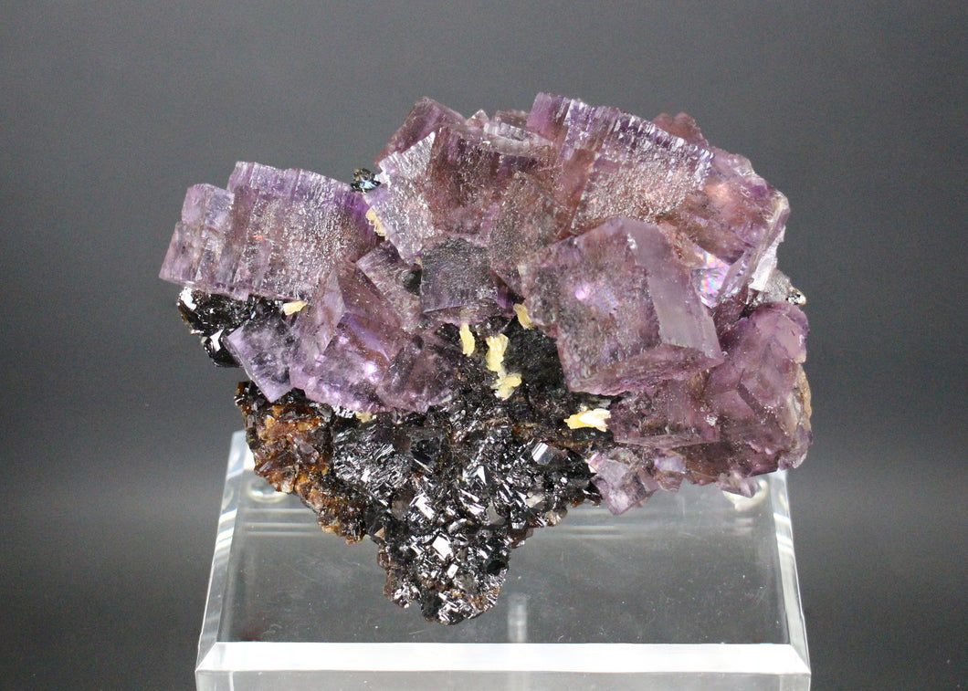 Purple Fluorite on Sphalerite