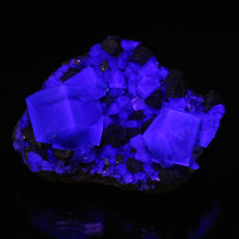 Load image into Gallery viewer, English Fluorite with Galena from the Cousin Jack Pocket - F1049
