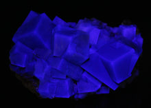 Load image into Gallery viewer, English Fluorite with Galena from the Cousin Jack Pocket - F1053
