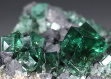 Load image into Gallery viewer, English Fluorite with Galena from the Cousin Jack Pocket - F1054
