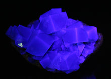 Load image into Gallery viewer, English Fluorite from the Cousin Jack Pocket - F1058
