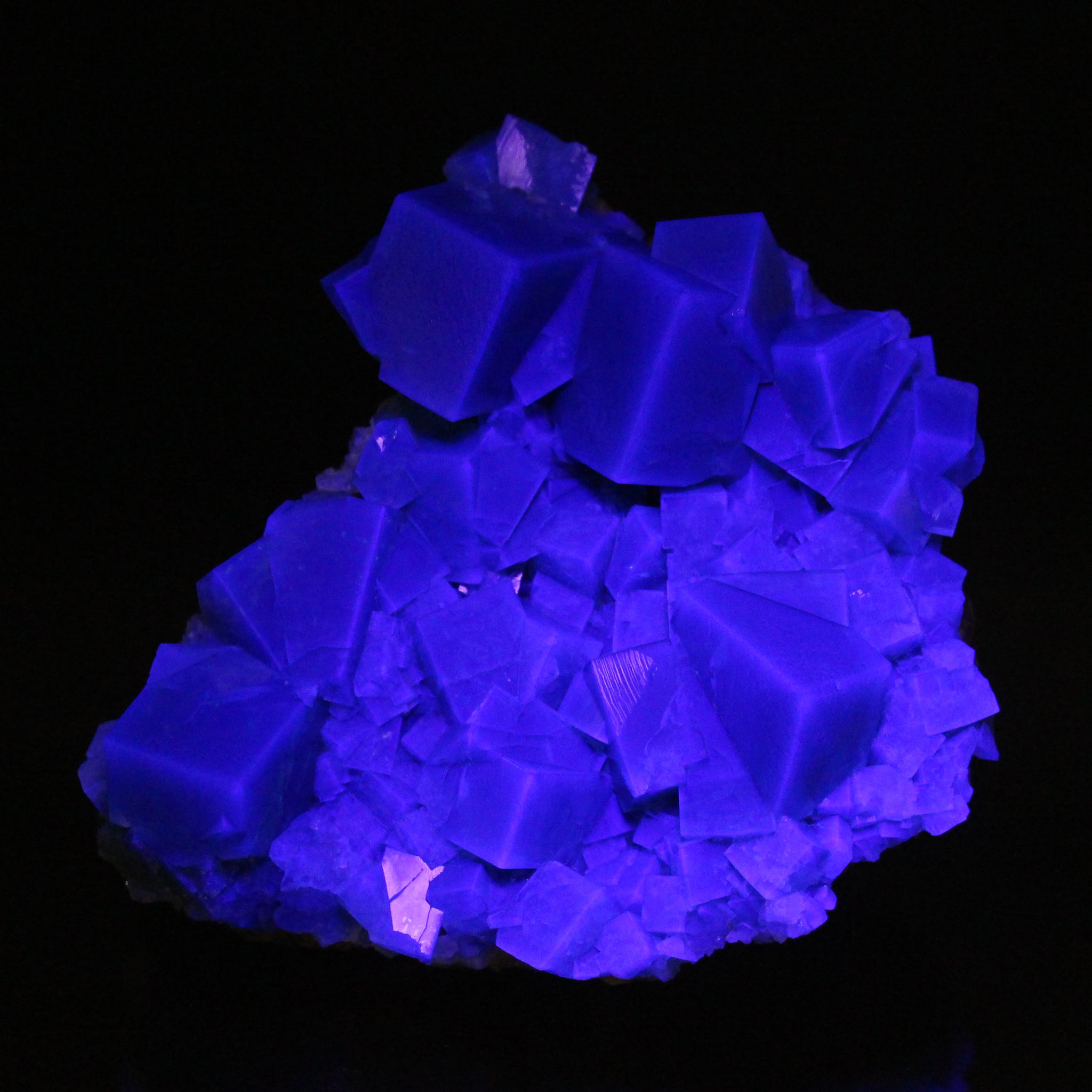 Rojerley鉱山 Cousin Jack Pocket フローライト English Fluorite from the Cousin Jack Pocket - F1065 – Misty