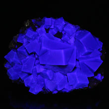 Load image into Gallery viewer, English Fluorite with Galena from the Cousin Jack Pocket - F1066
