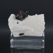 Load image into Gallery viewer, Elmwood Sphalerite on Matrix
