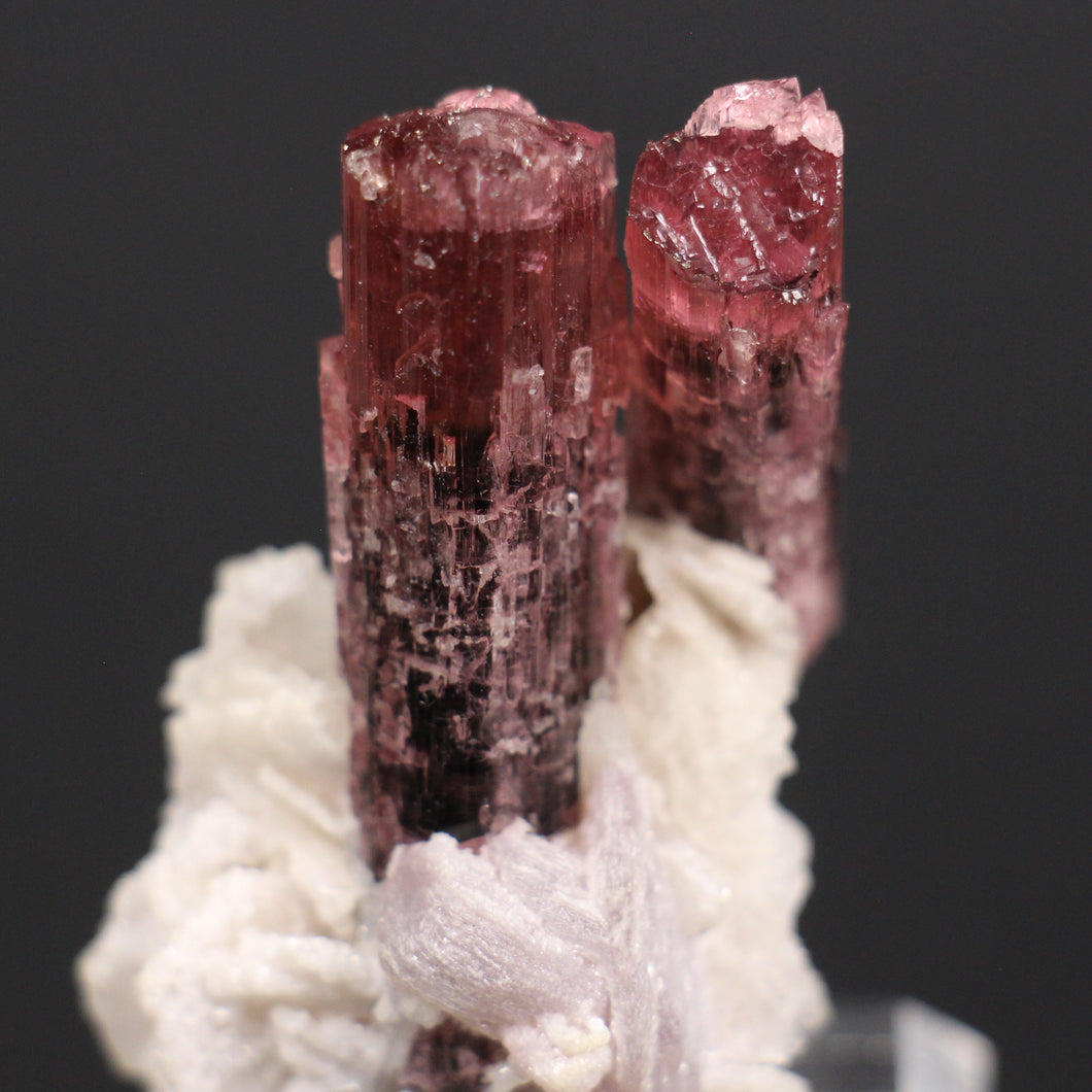 Elbaite (var. Rubellite) Tourmaline & Albite